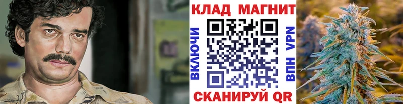 Наркотические вещества Алексин КОКАИН Амфетамин A PVP Каннабис МДМА МЕФ Гашиш