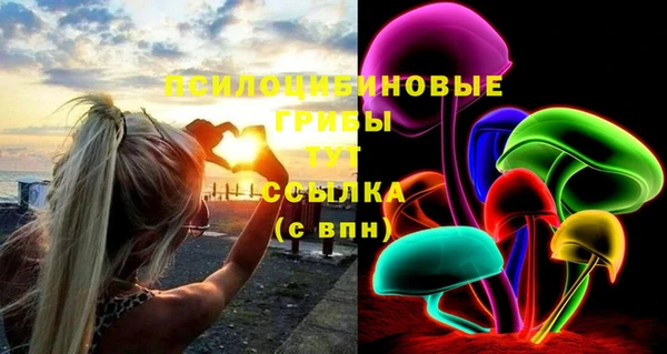 трава Новозыбков