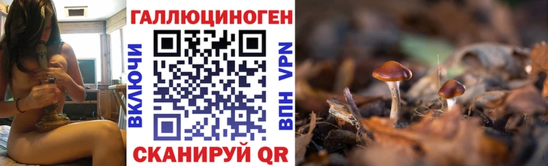 Галлюциногенные грибы Magic Shrooms  Алексин 