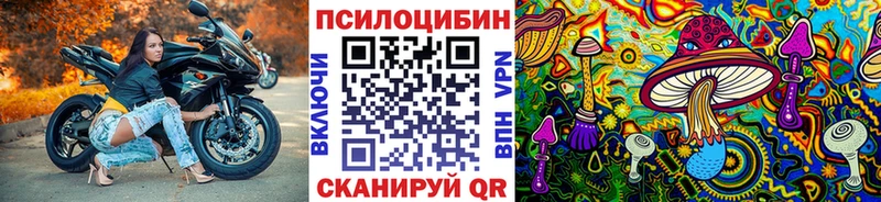 Галлюциногенные грибы Cubensis Алексин
